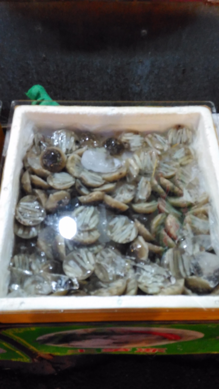 土笋凍 廈門街邊美食