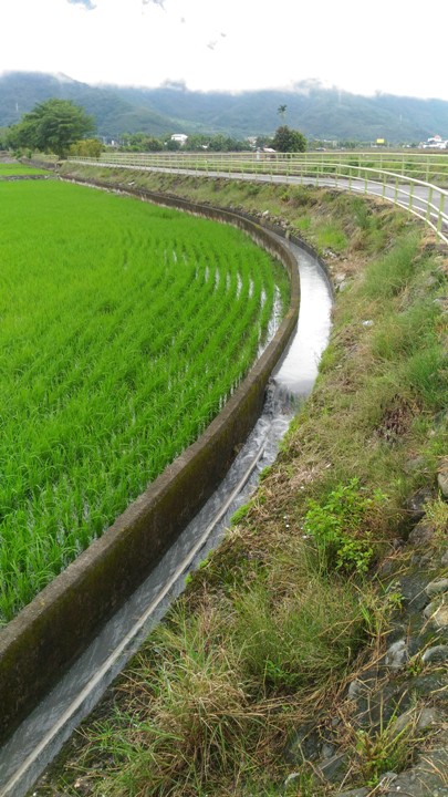 單車輕旅行-漫遊關山環鎮自行車道、騎遊時光小鎮