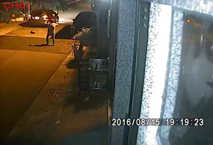 拜託!求神人幫忙解析車牌!!