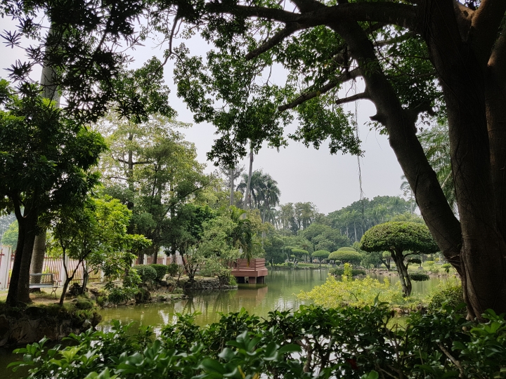 NOTE7 初完景深拍照 獻醜了
