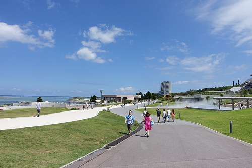 【2015沖繩】沖繩美麗海水族館。別錯過海豚秀及壯觀的黑潮之海