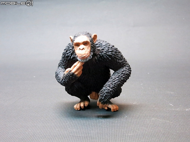 [動物創作]1/10 黑猩猩