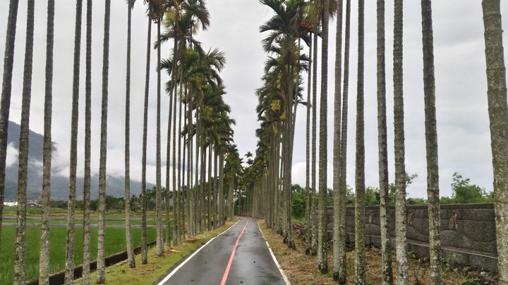 單車輕旅行-漫遊關山環鎮自行車道、騎遊時光小鎮