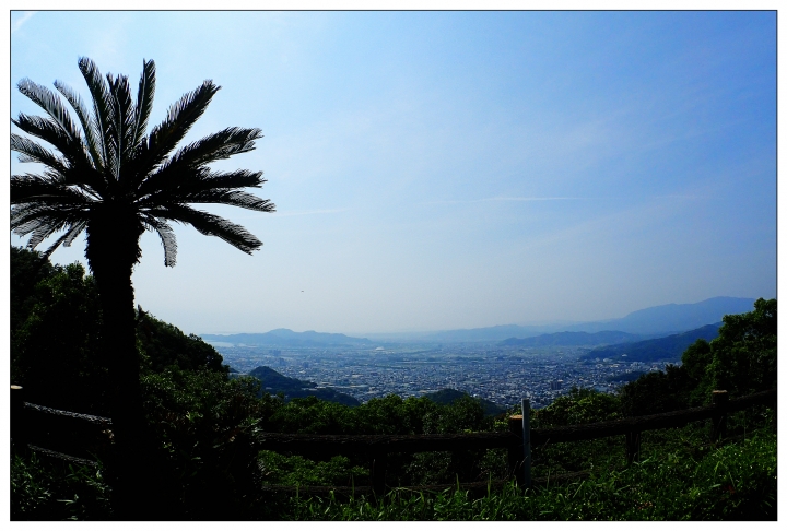 [SKYWAVE TYPE-S]日本四國環島之旅(PART-5)「香川―東京」