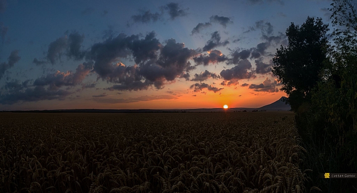 (第67批圖) LG G4 &G5&V10 日夜拍研究團 精選作品2016.8.7