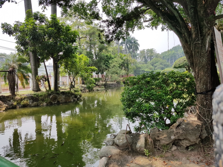 NOTE7 初完景深拍照 獻醜了