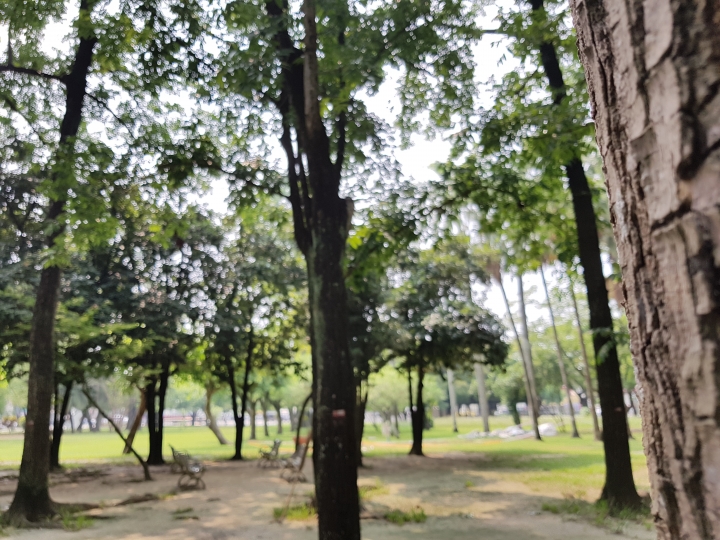 NOTE7 初完景深拍照 獻醜了