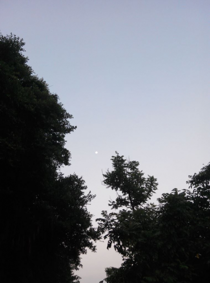 小琉球環島路跑