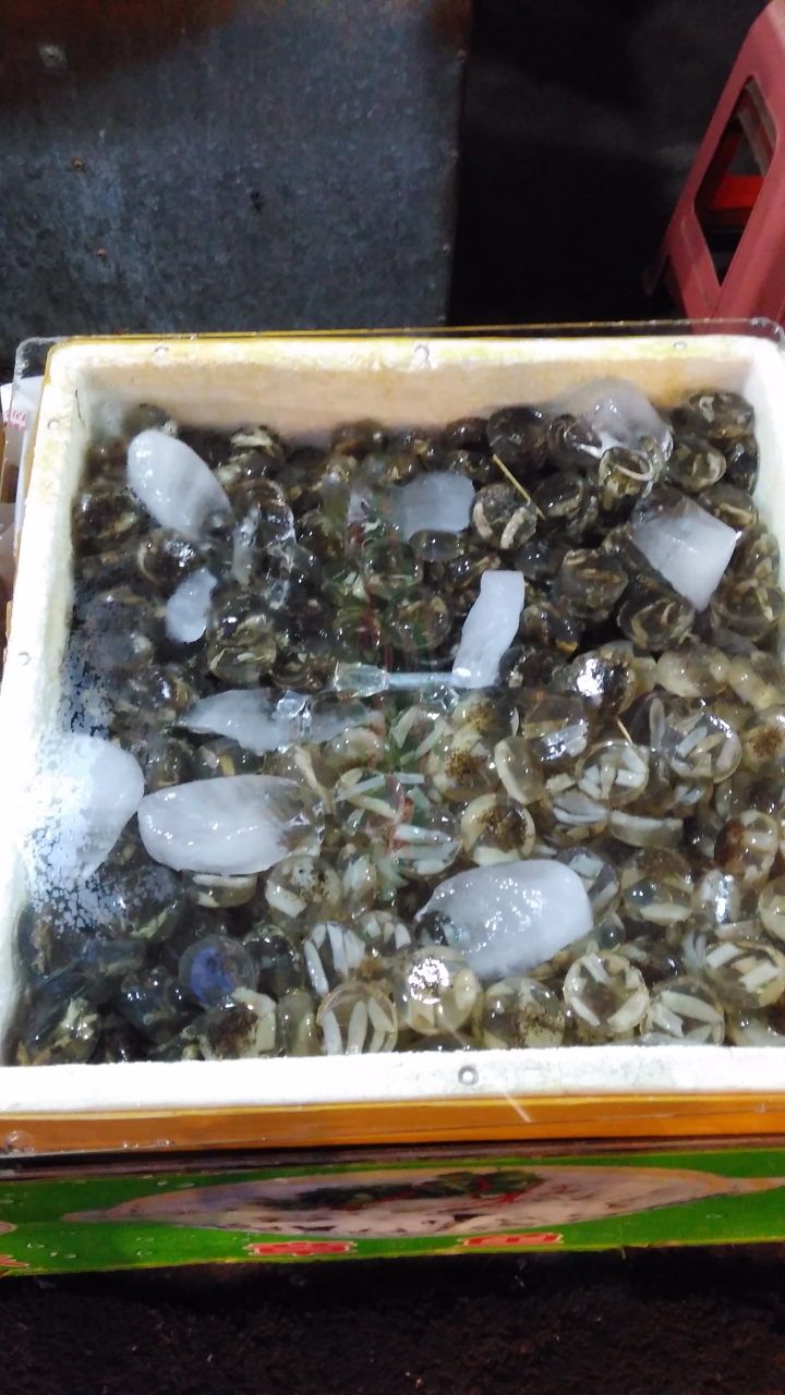 土笋凍 廈門街邊美食