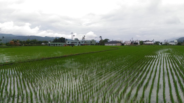 單車輕旅行-漫遊關山環鎮自行車道、騎遊時光小鎮