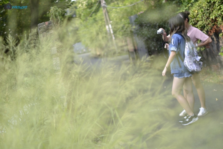 全台首開! 沒有最大‧只有更大! 【KERLEE 35mm f/1.2】