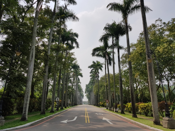NOTE7 初完景深拍照 獻醜了
