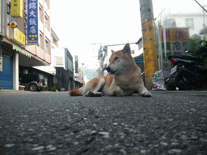 0814~0823 我用胖胎車環島