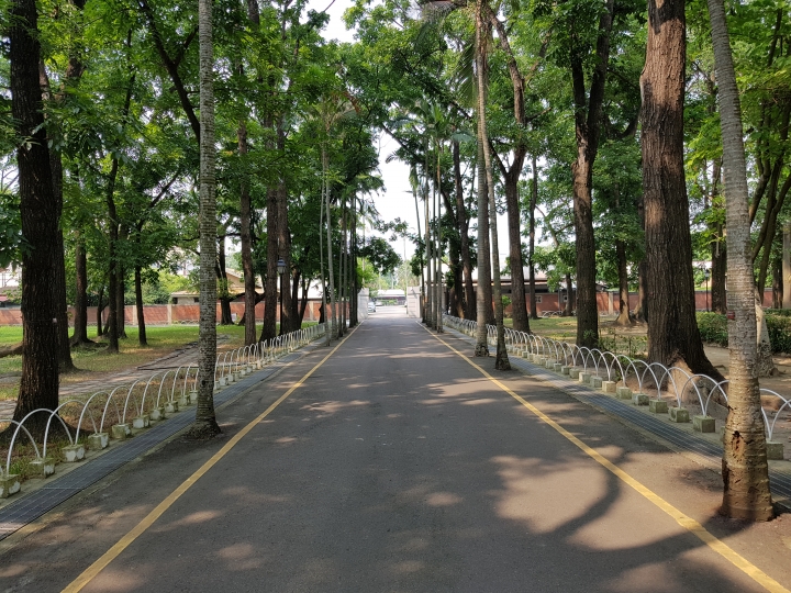 NOTE7 初完景深拍照 獻醜了