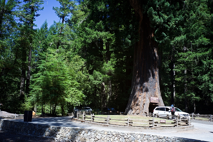 《萊卡Leica-M 鏡頭的分享》美國北加州及俄勒岡州的幾處旅遊景點