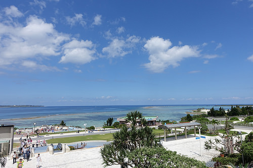 【2015沖繩】沖繩美麗海水族館。別錯過海豚秀及壯觀的黑潮之海