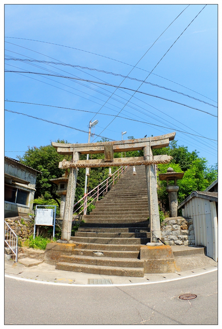[SKYWAVE TYPE-S]日本四國環島之旅(PART-5)「香川―東京」