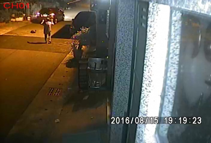 拜託!求神人幫忙解析車牌!!