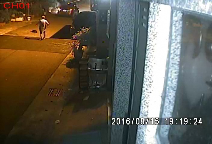 拜託!求神人幫忙解析車牌!!