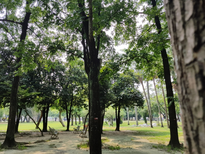 NOTE7 初完景深拍照 獻醜了