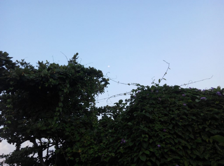 小琉球環島路跑