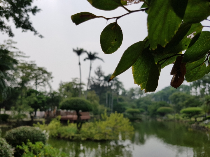 NOTE7 初完景深拍照 獻醜了
