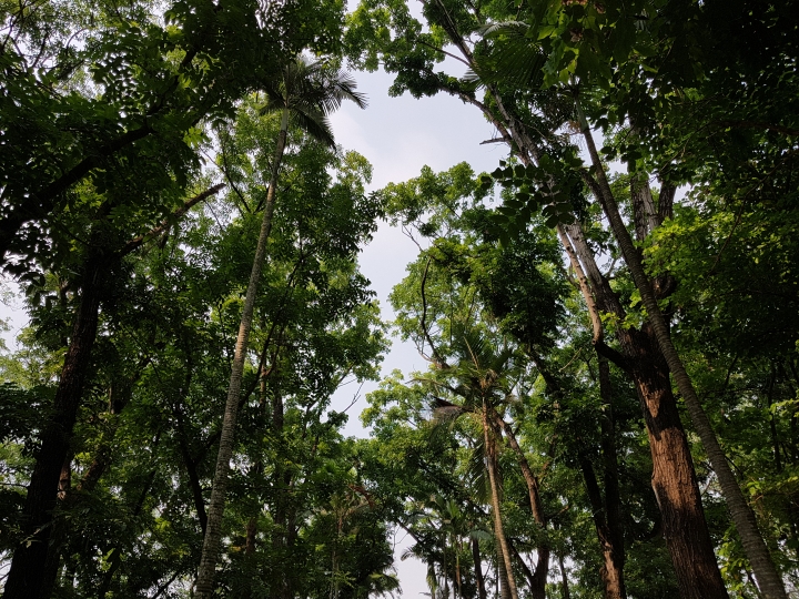 NOTE7 初完景深拍照 獻醜了
