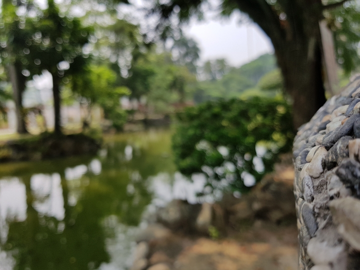 NOTE7 初完景深拍照 獻醜了