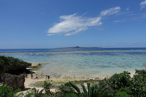 【2015沖繩】沖繩美麗海水族館。別錯過海豚秀及壯觀的黑潮之海