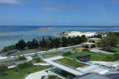 【2015沖繩】沖繩美麗海水族館。別錯過海豚秀及壯觀的黑潮之海