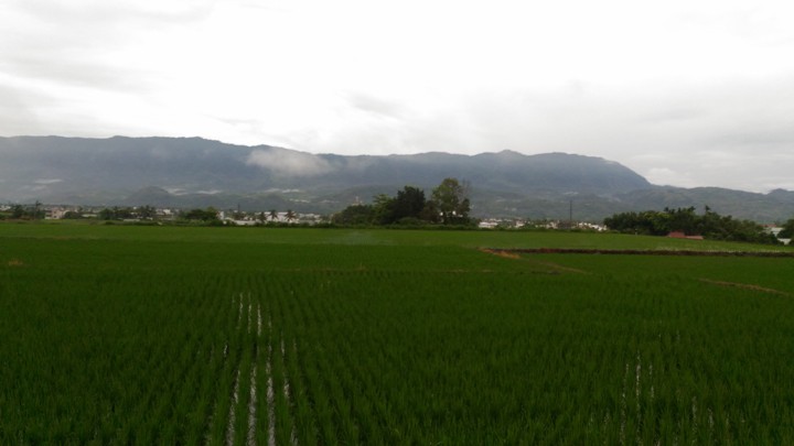 單車輕旅行-漫遊關山環鎮自行車道、騎遊時光小鎮