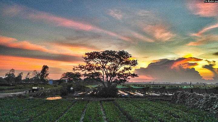 (第67批圖) LG G4 &G5&V10 日夜拍研究團 精選作品2016.8.7