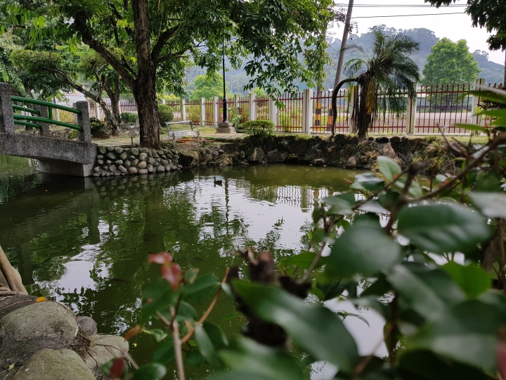 NOTE7 初完景深拍照 獻醜了