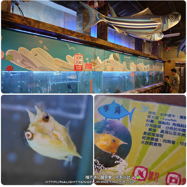 【花蓮】台鐵+租車親子三天二夜輕鬆玩<含雨天親子景點+AVIS安維斯租車優惠>