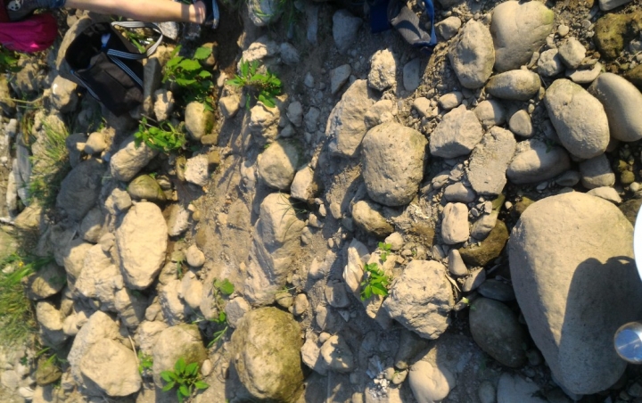 新北市景美溪假日休閒時光