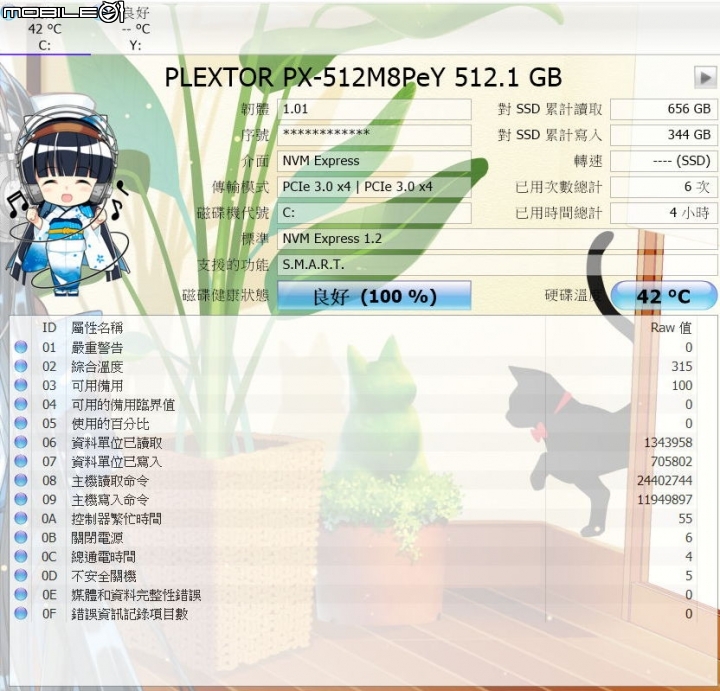 [開箱]Plextor PCI-E SSD M8peY  512GB  NVMe