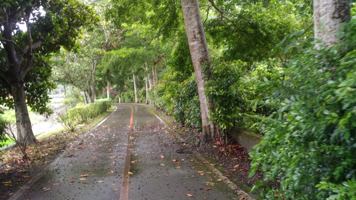 單車輕旅行-漫遊關山環鎮自行車道、騎遊時光小鎮