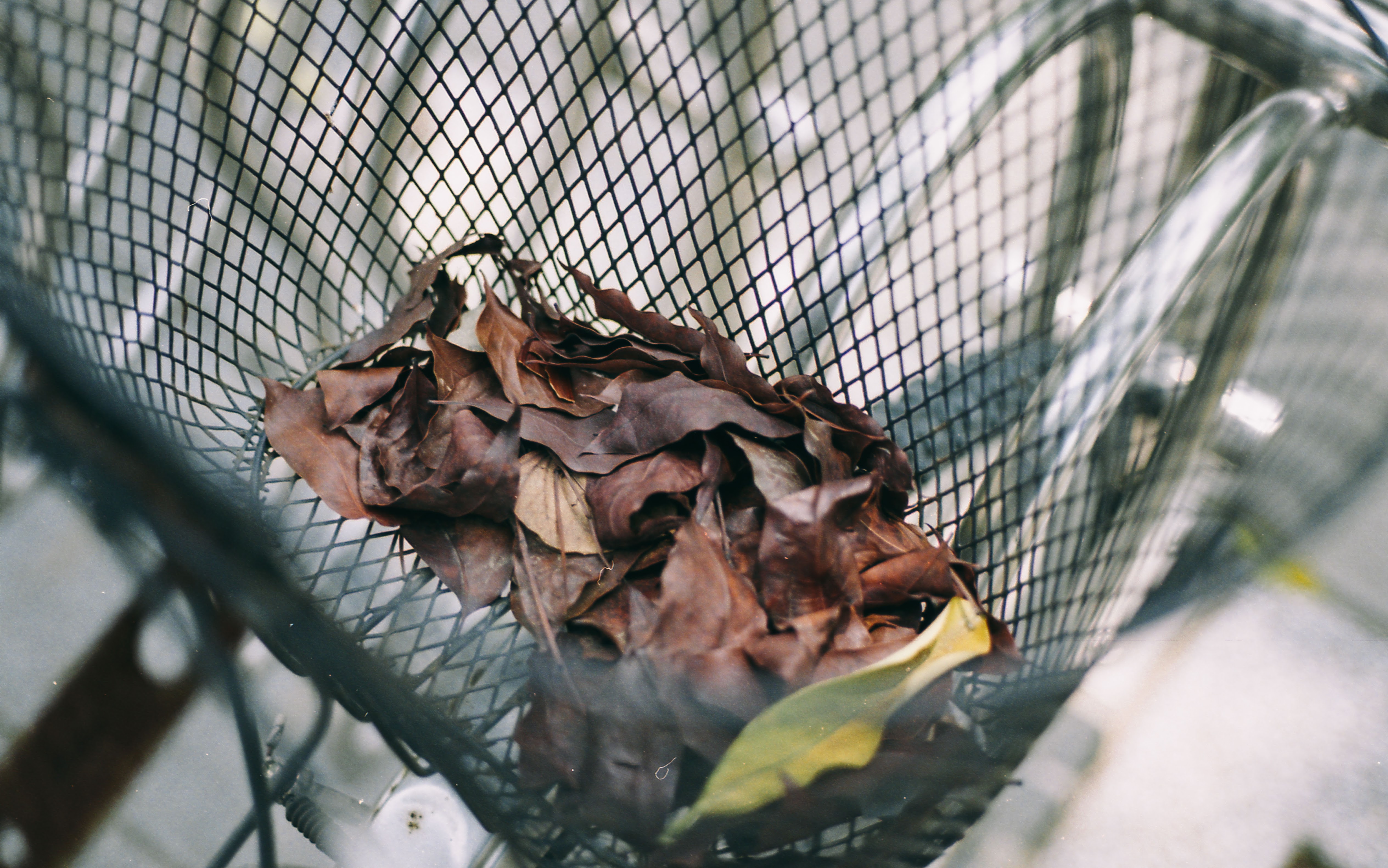 永恆的經典-Contax G1 + Carl Zeiss Planar T* 45mm F/2