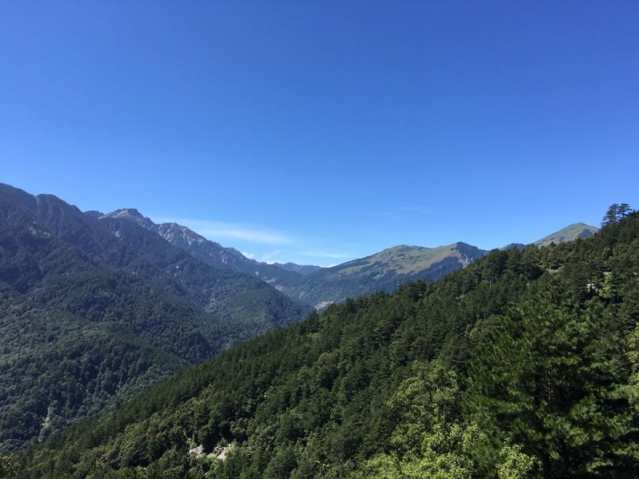 大禹嶺．合歡越