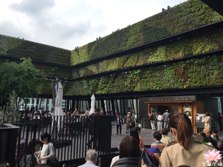 【日本・銀座・2016】TOKYU PLAZA GINZA-銀座新商場