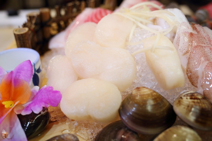 [新北]泰山極上日式涮涮鍋,主打C/P值高的火鍋店,來一個大海陸鍋吧  by蛋拔