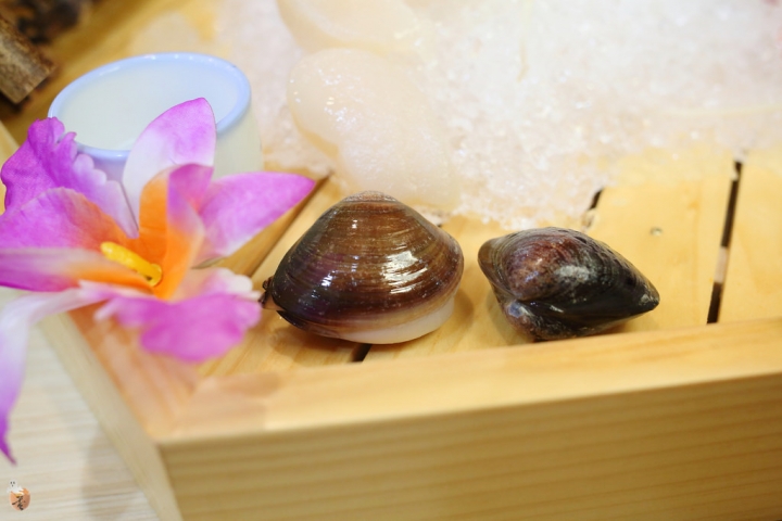 [新北]泰山極上日式涮涮鍋,主打C/P值高的火鍋店,來一個大海陸鍋吧  by蛋拔