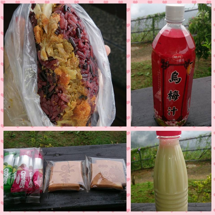 [南投]貓囒山步道
