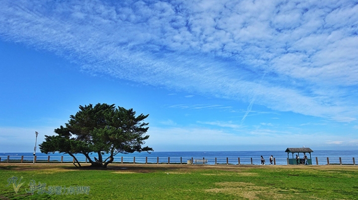 加州聖地牙哥拉荷亞海灘