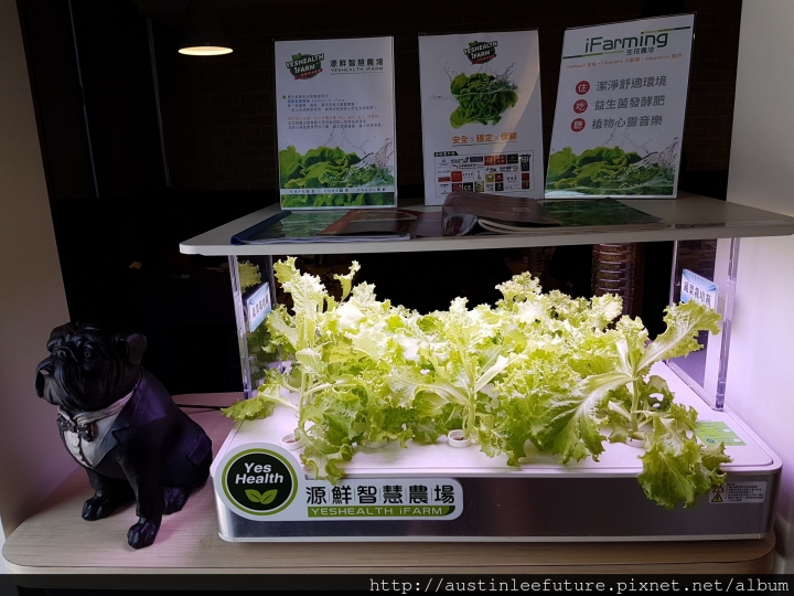 宜蘭市 銅房 專門韓式烤肉