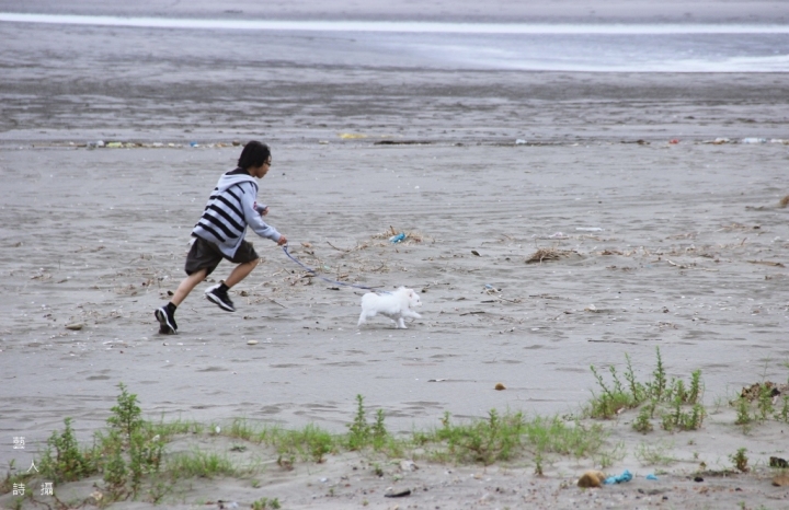 新屋綠色走廊濱海林蔭大道
