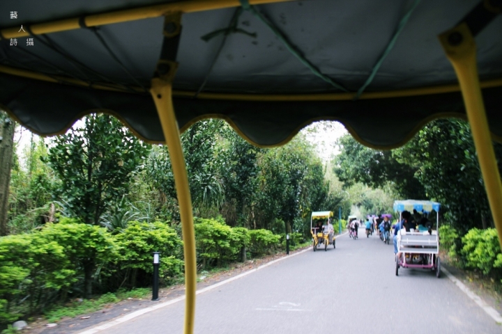 新屋綠色走廊濱海林蔭大道