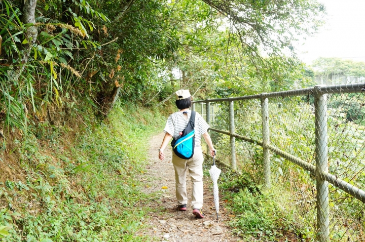 [南投]貓囒山步道