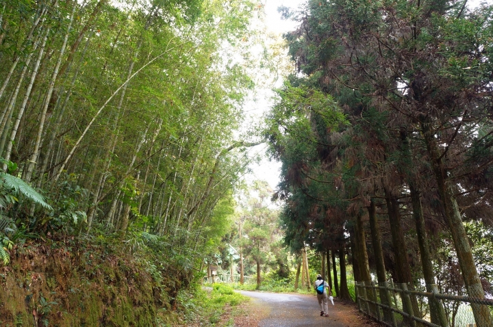 [南投]貓囒山步道