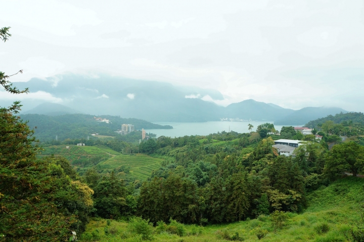 [南投]貓囒山步道